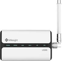 "Milesight IoT LoRaWAN" šliuzas UG65 EXT. Antenos HNT Helium