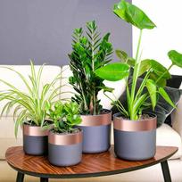Varinė juosta 6 pcs Vario 2000 x 7 cm Vario