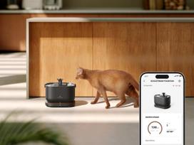 Petlibro - Dockstream Smart Water Fountain - Black - Compact