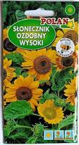 Saulėgrąža Polan