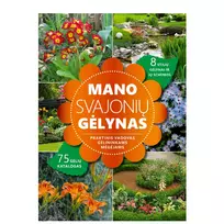 Mano svajonių gėlynas (mini brokas)