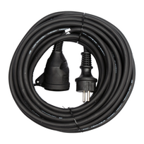 Prailgintojas elektros 30m.YT-81023