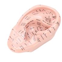 17cm Akupunktūros taškų ausų masažo modelis Ausies zonos masažo modelis Laboratoriniai reikmenys Refleksologijos mokymui