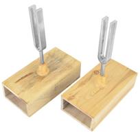 440HZ Tuning Fork Virbration Experimental Instrument with Wood Resonator Box & Knocker