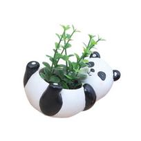Mini mielas Panda darbalaukis sultingi augalai gėlių vazonai Namų sodo kraštovaizdžio dekoras