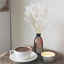 120 vnt Bunny Tails Džiovintos Gėlės Natūralios Džiovintos Bunny Tails Žolės 60cm Lagurus Ovatus Triušio uodegos žolė, skirta pasidaryk pats, amatų vestuvių vakarėliui Namų stalo dekoras balta