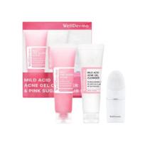 WellDerma / Mild Acid Acne Gel Cleanser & Pink Sugar Scrub Set / Pore Purifying & Smoothing Duo / Made in Korea