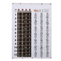 Mandolinos akordų lentelės plakatas HD spalvoti spaudiniai Mandolinos grifas, natos pradedantiesiems, profesionalams