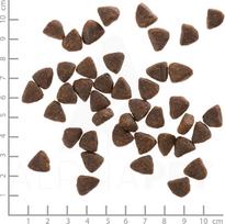Wolfsblut Wide Plain Small breeds Horse with sweet potatoes - dry dog food - 2kg