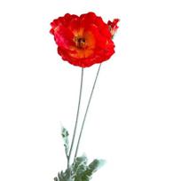 41,34 colio dirbtinės aguonos (Papaver rhoeas) su ilgu kotu, realistiškos netikros aguonos grindims, namų interjero dekoras, vestuvės balta
