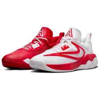 Nike Giannis Immortality 3 EP All-Star - FV4080-600 EU 41
