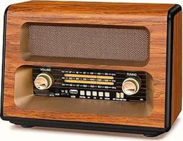 PRUNUS J-199 Retro radijas "Bluetooth", AM FM SW nostalgijos radijas, veikiantis baterija, lagamino radijas su 3 krypčių maitinimo šaltiniu, kurį galima maitinti per bateriją, akumuliatorių arba lizdą, palaiko USB/TF