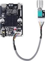 "Bluetooth" stiprintuvo modulis, TWS DC 9-24V 100W monofoninio garso stiprintuvo plokštė su AUX USB "Bluetooth" plokšte, skirta garsiakalbiams "pasidaryk pats" namų kino namų ūkiams, mokykloms (TPA3116)