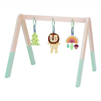 Tooky Toys TJ386 edukacinis lavinamasis gimnastikos stovas