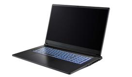 CAPTIVA Notebook Highend Gaming I94-380GE i7-13620H (17.3, 64GB, 2TB SSD, GeForce RTX 5070 8GB, Win 11 Pro) (94380)
