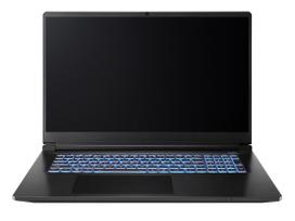 CAPTIVA Notebook Highend Gaming I98-038CH i7-13620H (17.3, 32GB, 2TB SSD, GeForce RTX 5070 8GB, Win 11 Home) (98038)