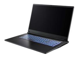 CAPTIVA Notebook Highend Gaming I98-034CH i7-13620H (17.3, 32GB, 1TB SSD, GeForce RTX 5070 8GB, Win 11 Pro) (98034)
