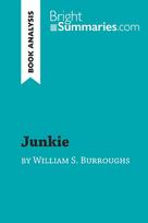 Junkie by William S. Burroughs (Book Analysis): Detailed Summary, Analysis and Reading Guide