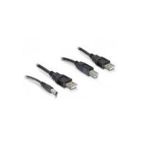 DeLOCK - Stromkabelkit - USB Typ A, 4-polig (M) - USB Typ B, 4-polig, Gleichstromstecker 2,1 mm (M) - 30 cm (82461)