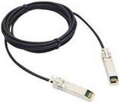 Extreme Networks - Ethernet 10GBase-CR-Kabel - SFP+ (M) zu SFP+ (M) - 10 m - für ExtremeCloud E3120