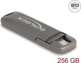 Delock USB 20Gbps USB-C Speicherstick 256GB, Lesegeschwindigkeit 1980MB/s - Metallgehäuse