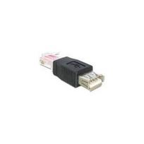 DeLOCK - USB Adapter - 1 x USB2.0 Typ A (W) - 1 x RJ45 (M) (65234)