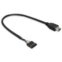 DeLOCK USB2.0 Pin Header - USB-Kabel intern auf extern - 5-polig USB2.0 (W) - Mini USB (M) - 30cm - Schwarz (83170)