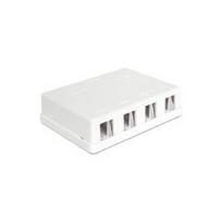 DeLOCK Keystone Surface Mounted Box - Gehäuse mit modularen Einsätzen - weiß - 4 Ports (86208)
