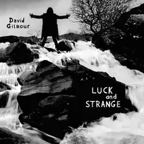 David Gilmour - Luck And Strange (vinilinė plokštelė, LP)