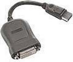 Lenovo - DVI-Adapter - Single Link - DisplayPort (M) zu DVI-D (W) - 20 cm - für ThinkCentre M70, M720, M75, M80, M90, M920, ThinkStation P340, P620, V50t-13, V530-15