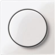 MERTEN Zentralplatte MEG5250-0319 Thermoplast polar-ws mit Drehknopf MEG52 MEG5250-0319 (MEG5250-0319)