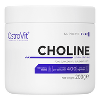 OSTROVIT Choline - 200g