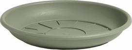Plastikinė lėkštutė DOMUS, rozmarino sp., 28 x 4,2 cm.