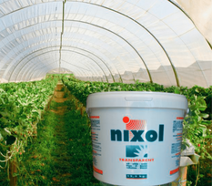 Skystis šiltnamių stiklams ir plėvelėms užtemdyti “NIXOL TRANSPARENT”