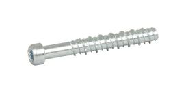 Sraigtai betonui ESSVE, 5 x 40 mm, cinkuoti, 100 vnt.