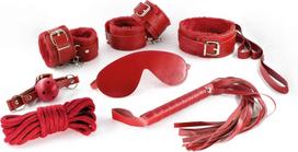Crushious Dungeons and Maidens Red 8-Piece Adjustable Bonding Accessory Set