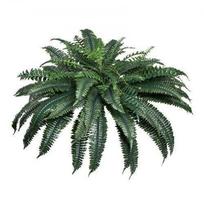 Dirbtinis Bostono papartis – 88 šakos, 110–120 cm
