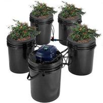 Hidroponinis RDWC daiginimo rinkinys su 4 kibirais po 20 L ir rezervuaru