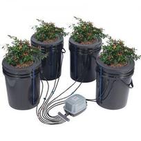 Hidroponinis daiginimo rinkinys – giluminės vandens kultūros sistema (DWC) su 4 kibirais po 20 L ir oro siurbliu – 30 x 30 x 38 cm