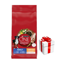 PURINA ONE Adult Medium/Maxi Maistas suaugusiems šunims, turtingas vištiena ir ryžiais, 12 kg + Staigmena Šunui