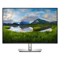 Dell 24" P2425 monitorius