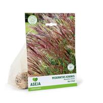 Kininio miskanto gumbas ASEJA Red Chief, 1 vnt., 2/3, Landscape, 15186, (P)