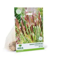 Pašiaušelinės soruolės gumbas ASEJA Red Head, 1 vnt., 2/3, Landscape, 15162, (P)