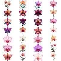 28 vnt. Spalvingi orchidėjų laikini tatuiruočių lipdukai Vandeniui atsparūs kūno meno lipdukai Ant rankų Netikros tatuiruotės Suaugusiems Vyrams Moterims Vienkartiniai tatuiruočių lipdukai