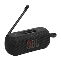 JBL Tuner 3 radija / kolonėlė Black
