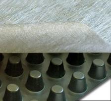 Membrana FORTEX, pamatų drenaž. su geotekstile "Dren 250 kN" 2 x 20 m, (40 m2)
