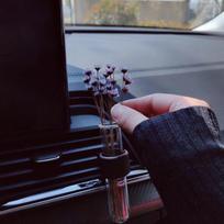 Automobilinė gėlių vaza su ventiliacijos spaustuku Automobilinė vaza su ventiliacijos spaustuku Augalų laikiklis Stiklinis neslystantis augalų laikiklis Ilgalaikis gaiviklis Dekoracija Kemperiams China Mainland