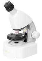 Mikroskopas, Discovery Micro Polar, 40x-640x, su knyga