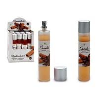 Purškiamas oro gaiviklis Cinamonas, 100 ml
