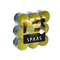 Kvapiosios arbatinės žvakės SPAAS SOUTHERN CITRUS, 8 H, 18 vnt.